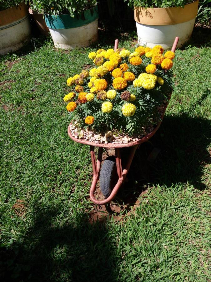 Eco Pousada Jardim Do Eden Alto Paraíso de Goiás Extérieur photo