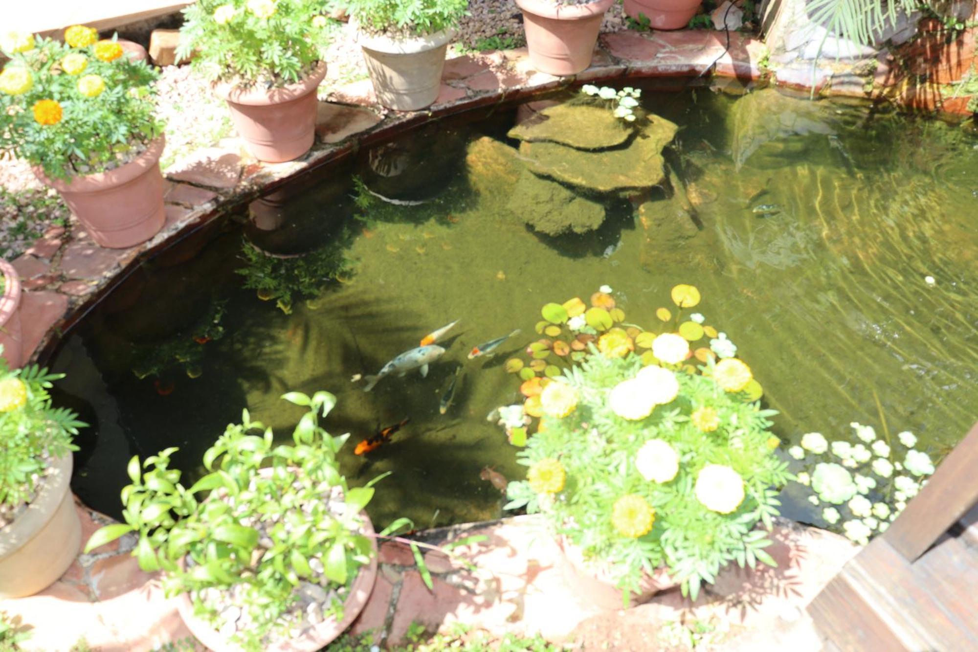 Eco Pousada Jardim Do Eden Alto Paraíso de Goiás Extérieur photo