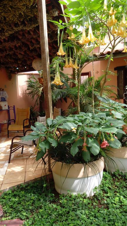 Eco Pousada Jardim Do Eden Alto Paraíso de Goiás Extérieur photo